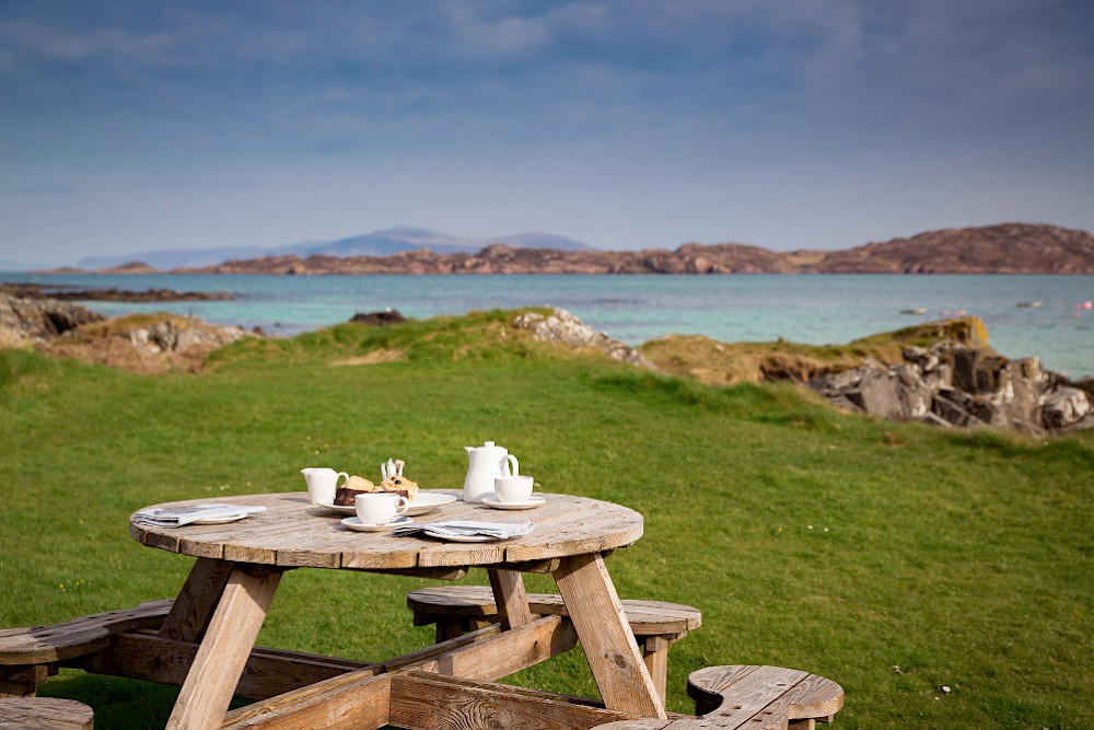 Tea On The Front Lawn